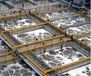 生化池出水氨氮超標提標怎么辦？